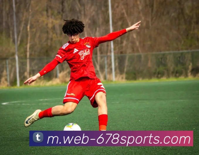 球赛投注服务体系